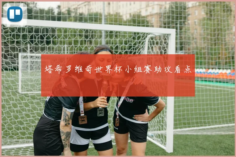 塔希罗维奇世界杯小组赛助攻看点