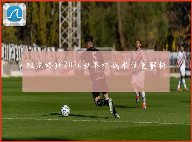 维尼修斯2026世界杯战术位置解析