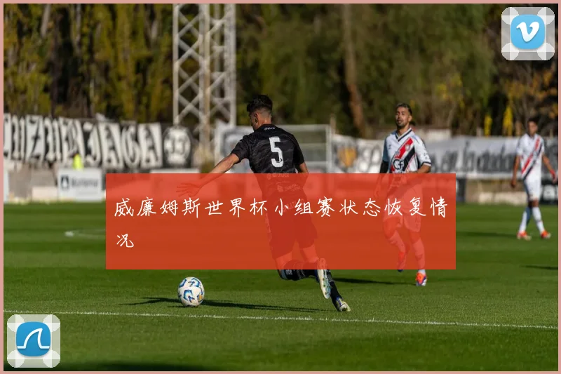 威廉姆斯世界杯小组赛状态恢复情况