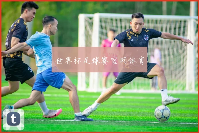 世界杯足球赛官网体育