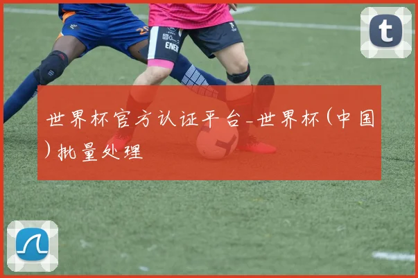 世界杯官方认证平台_世界杯(中国)批量处理