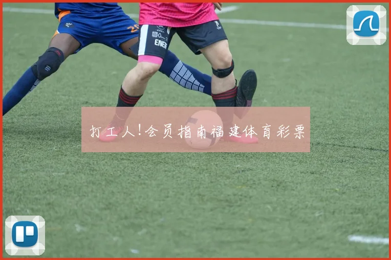 打工人!会员指南福建体育彩票