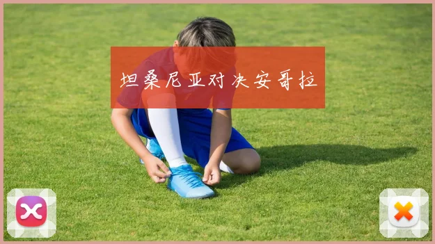 坦桑尼亚对决安哥拉