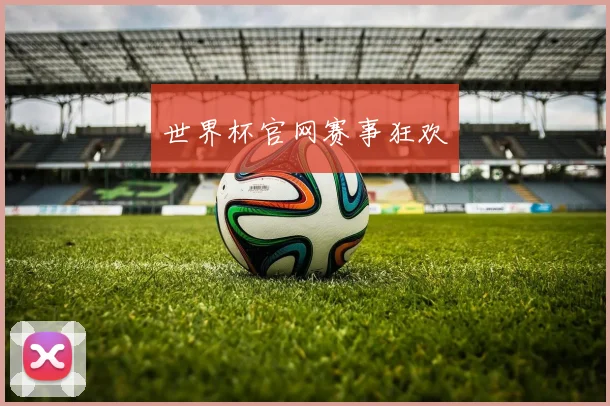 世界杯官网赛事狂欢