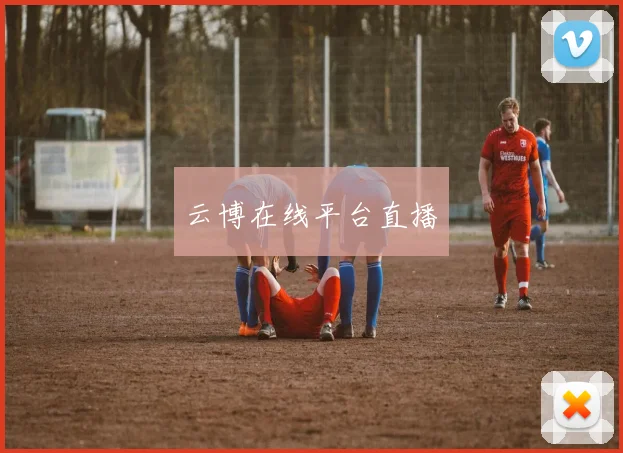 云博在线平台直播