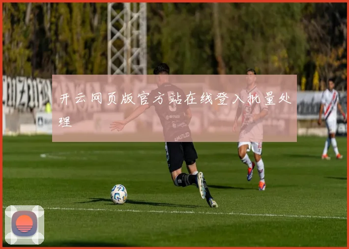 开云网页版官方站在线登入批量处理