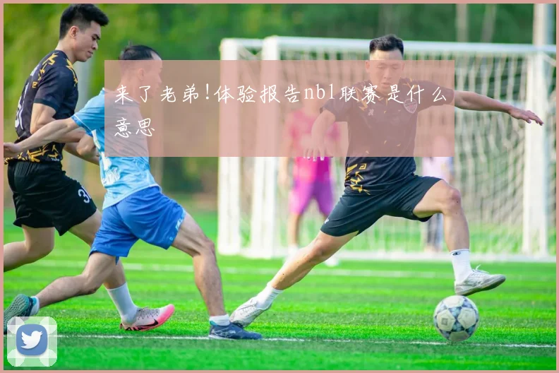 来了老弟!体验报告nbl联赛是什么意思