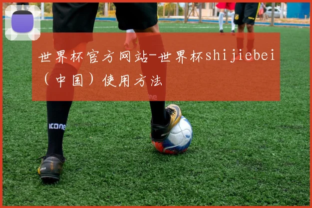 世界杯官方网站-世界杯shijiebei（中国）使用方法