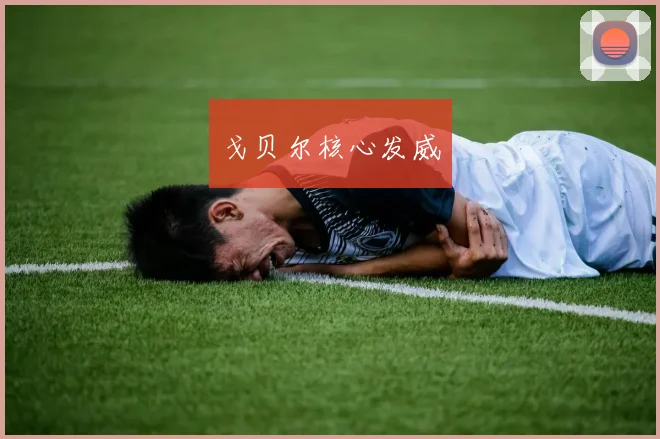 戈贝尔核心发威
