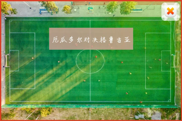 厄瓜多尔对决格鲁吉亚