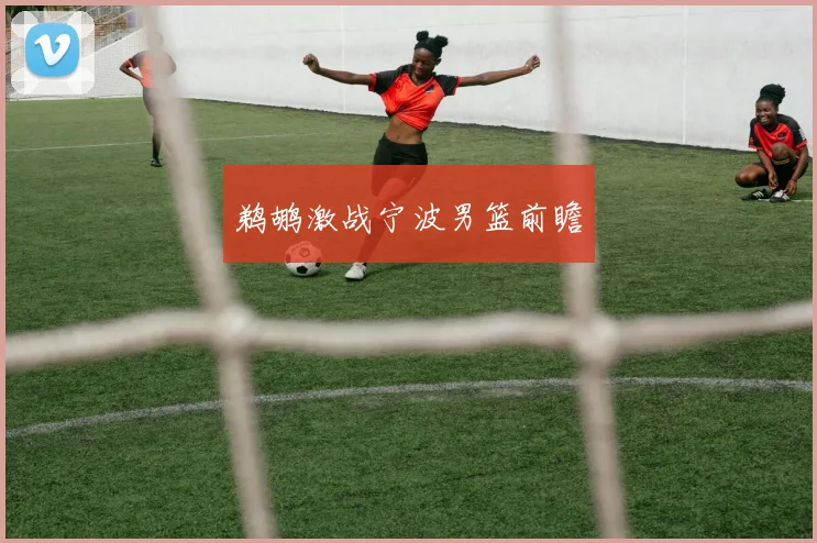 鹈鹕激战宁波男篮前瞻