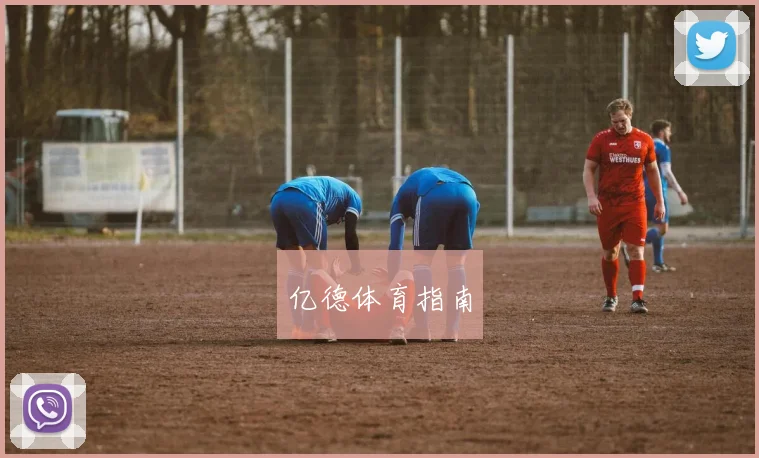 亿德体育指南