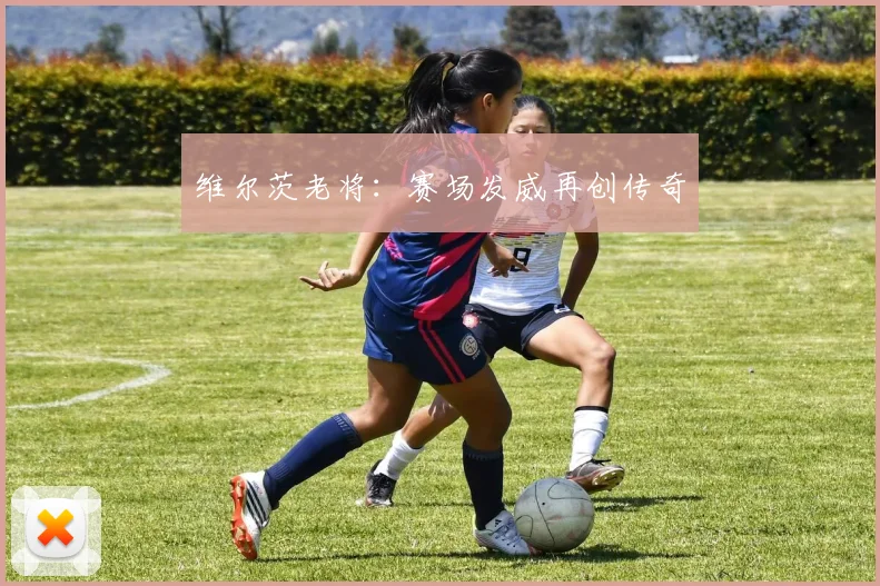 维尔茨老将：赛场发威再创传奇