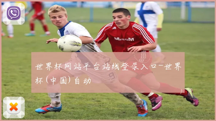 世界杯网站平台站线登录入口-世界杯(中国)自动