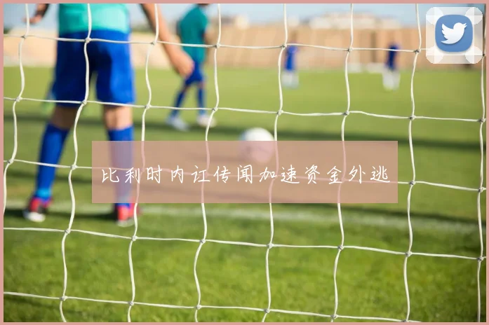 比利时内讧传闻加速资金外逃
