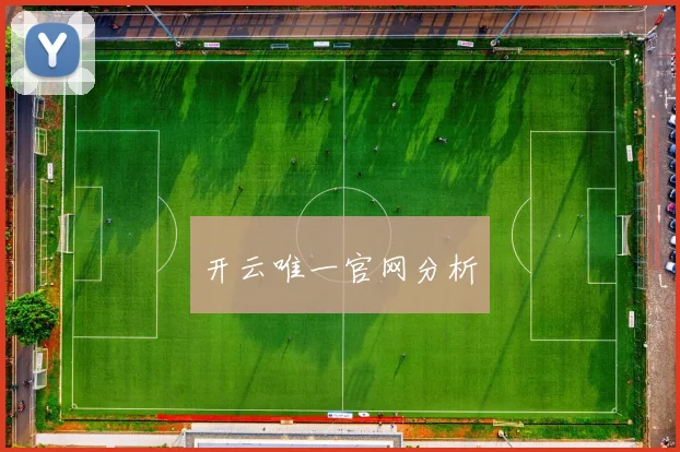 开云唯一官网分析