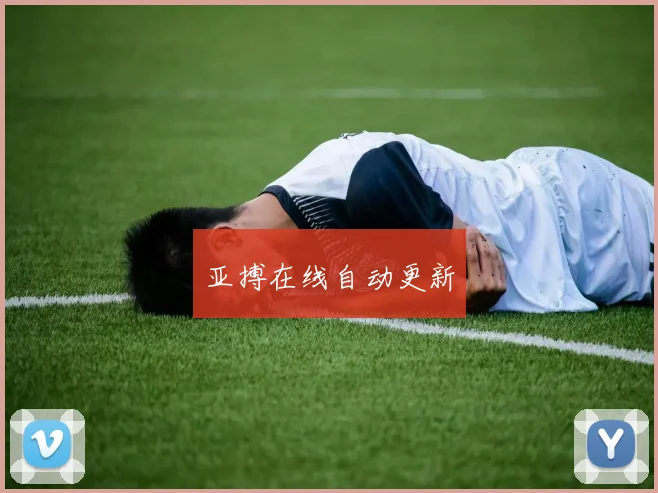 亚搏在线自动更新