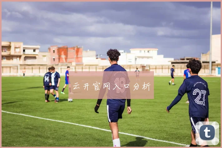 云开官网入口分析