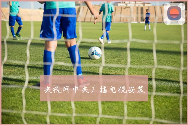 央视网中央广播电视安装