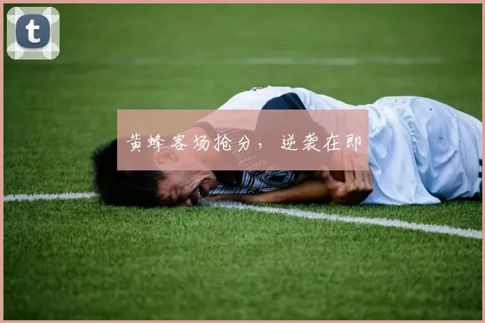 黄蜂客场抢分，逆袭在即