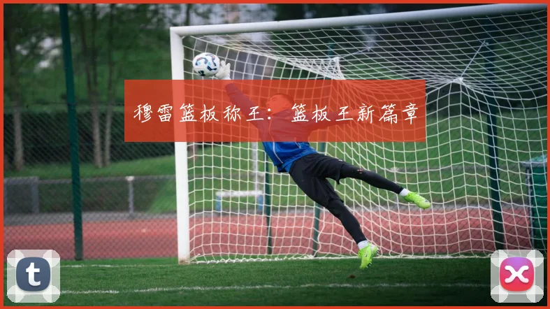 穆雷篮板称王：篮板王新篇章