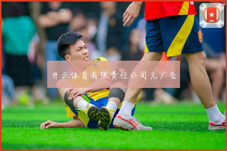 开云体育有限责任公司无广告