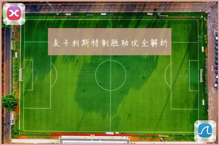 麦卡利斯特制胜助攻全解析