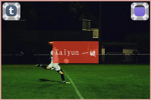 Kaiyun 一键