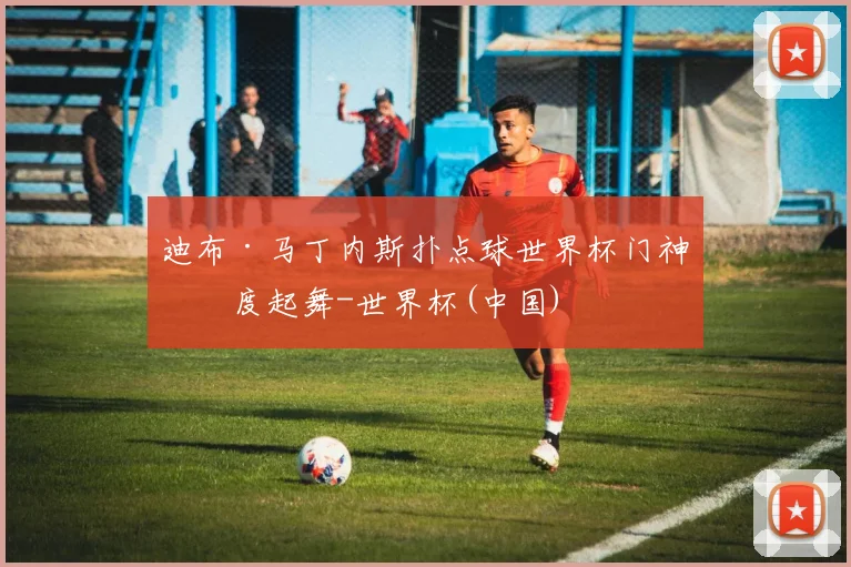 迪布·马丁内斯扑点球世界杯门神再度起舞-世界杯(中国)