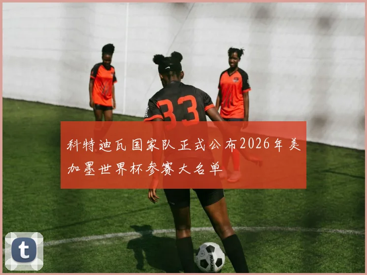 科特迪瓦国家队正式公布2026年美加墨世界杯参赛大名单