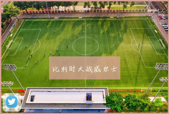 比利时大战威尔士