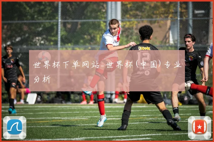 世界杯下单网站_世界杯(中国)专业分析