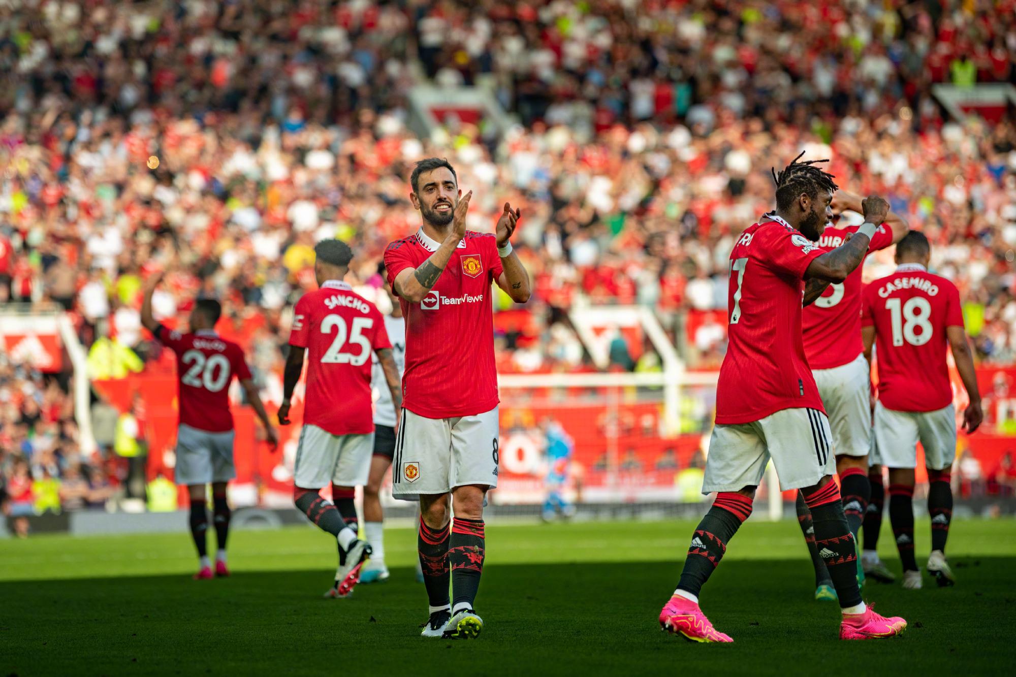 荷兰强调多 荷兰强调多