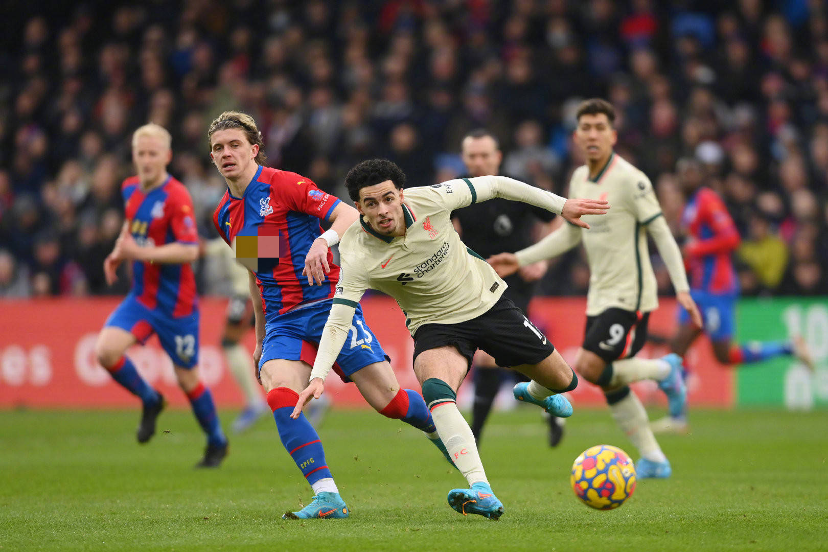 就能再次站 就能再次站