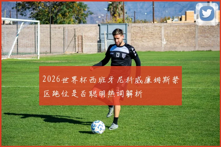 2026世界杯西班牙尼科威廉姆斯禁区跑位是否聪明热词解析