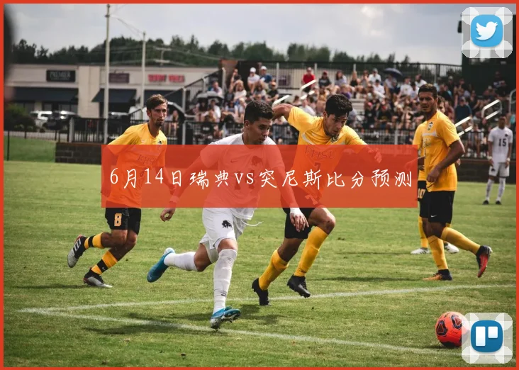 6月14日瑞典vs突尼斯比分预测